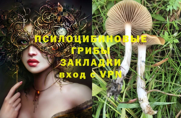 apvp Баксан