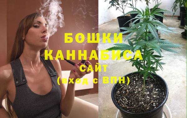 дживик Балахна