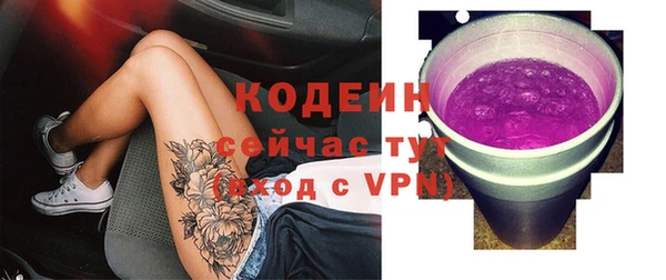 индика Арсеньев