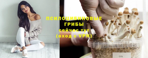 дживик Балахна