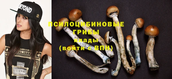 дживик Балахна