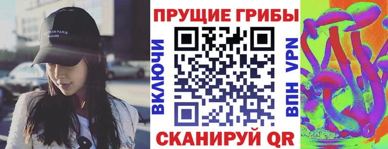 это наркотические препараты  где купить наркоту  Михайлов  Псилоцибиновые грибы мицелий 